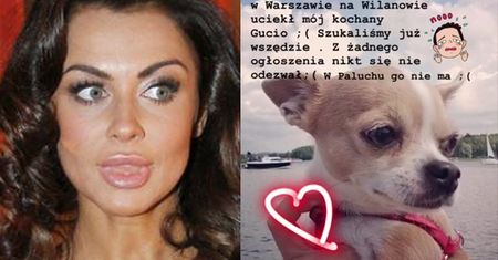 Natalia Siwiec ZGUBIŁA PSA! "Z ogrodu na Wilanowie uciekł MÓJ KOCHANY GUCIO!"