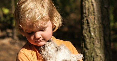 Zwierzęta domowe a rozwój emocjonalny dzieci