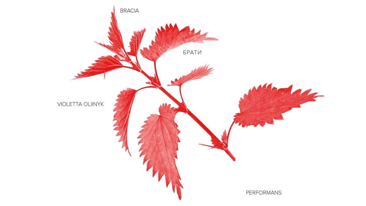 Grafika Bracia