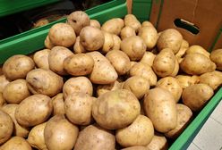 Najgorsze młode ziemniaki. Zwróć uwagę w sklepie, by się nie zatruć