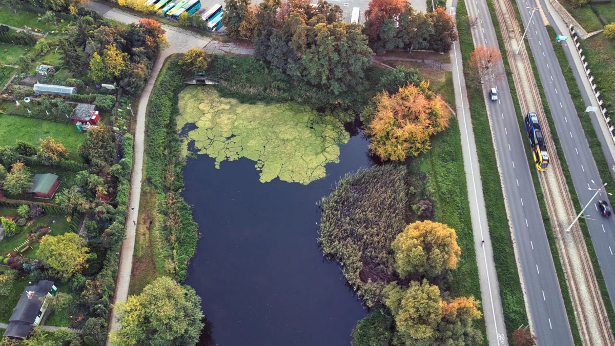 Zakończenie rekultywacji Kaszownika zaplanowano na grudzień 2027 roku.