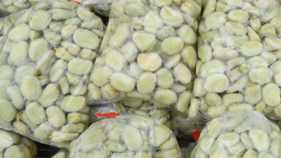 Bób jest pełen białka, błonnika, witamin i minerałów. Idealnie zastąpi mięso