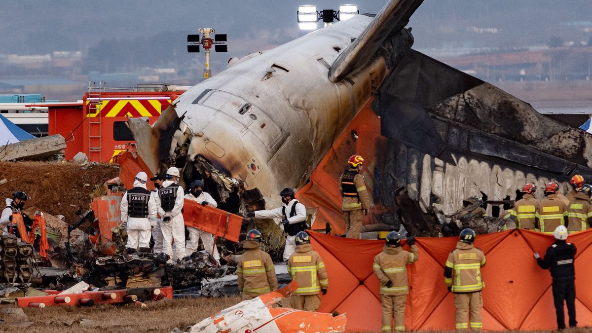 Katastrofa samolotu linii Jeju Air. Trwa ustalanie przyczyn