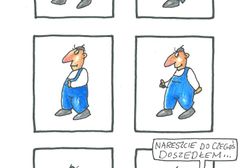 Bielsko-Biała. Poczucie humoru trzyma się mocno