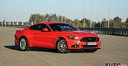 Nowy Ford Mustang Fastback GT V8 5.0 - zdjęcia