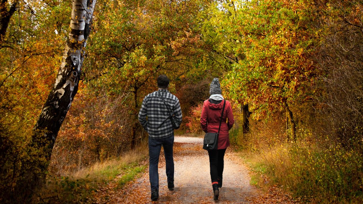 Codzienny spacer to zdrowie