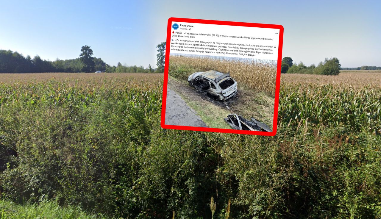 Spalone BMW. Makabryczne odkrycie w środku auta