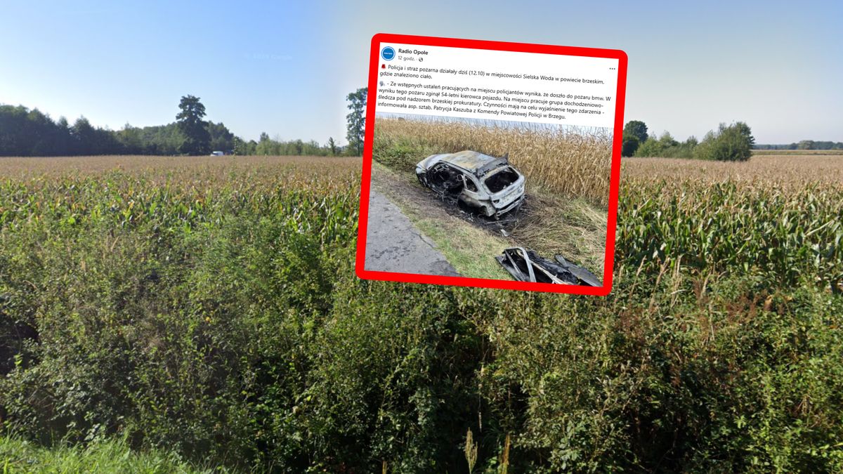 BMW spłonęło przy polu kukurydzy.