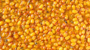 Źródło witaminy C. Może chronić przed rakiem