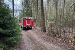 Makabryczny wypadek. 35-latek stracił życie podczas przycinania drzew