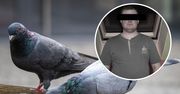 Był zazdrosny o żonę. Spalił sąsiadowi gołębie