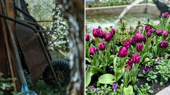 Zrób to teraz w ogrodzie. Podziękujesz sobie latem