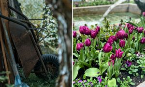 Zrób to teraz w ogrodzie. Podziękujesz sobie latem