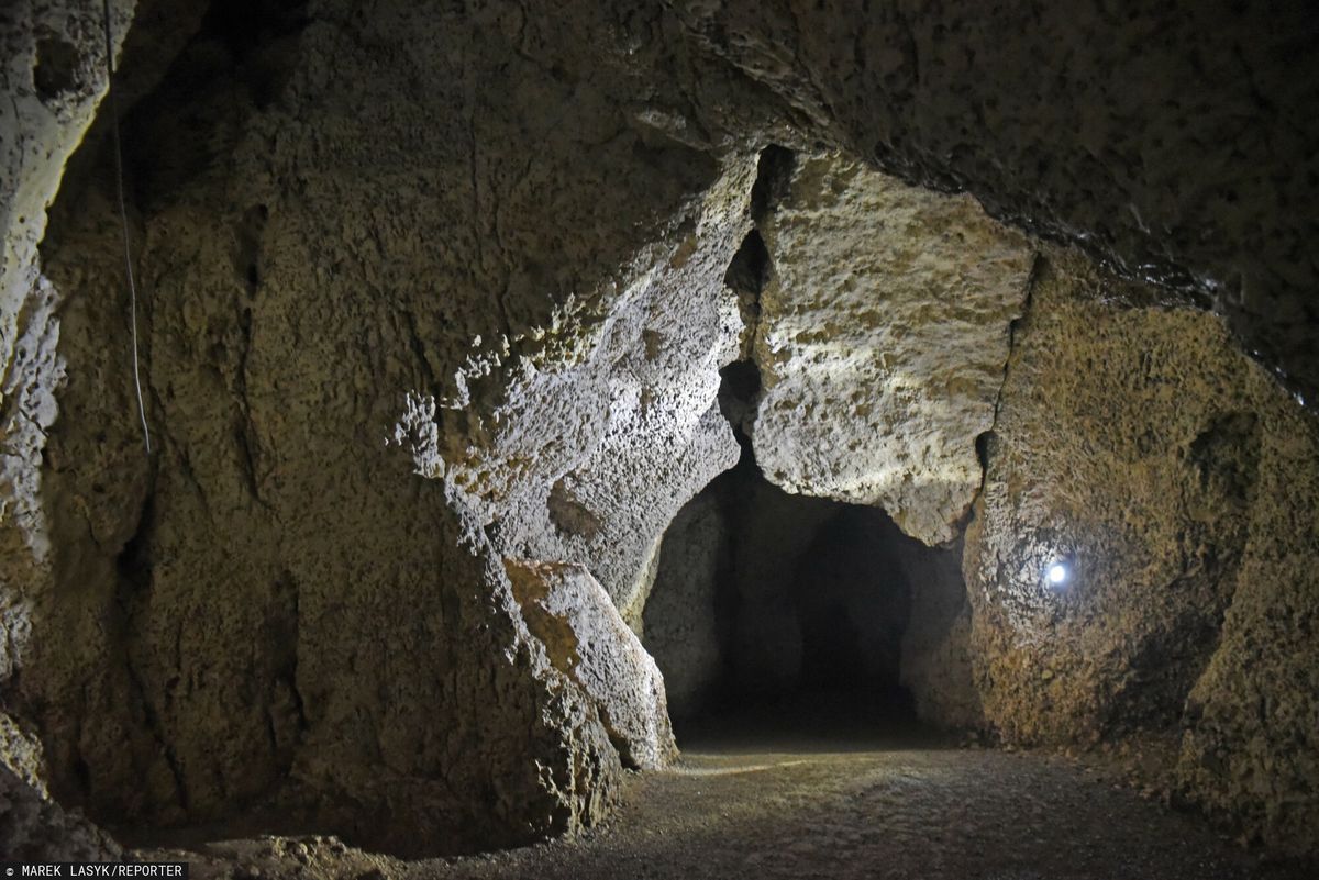 Jaskinia Nietoperzowa w Jerzmanowicach 