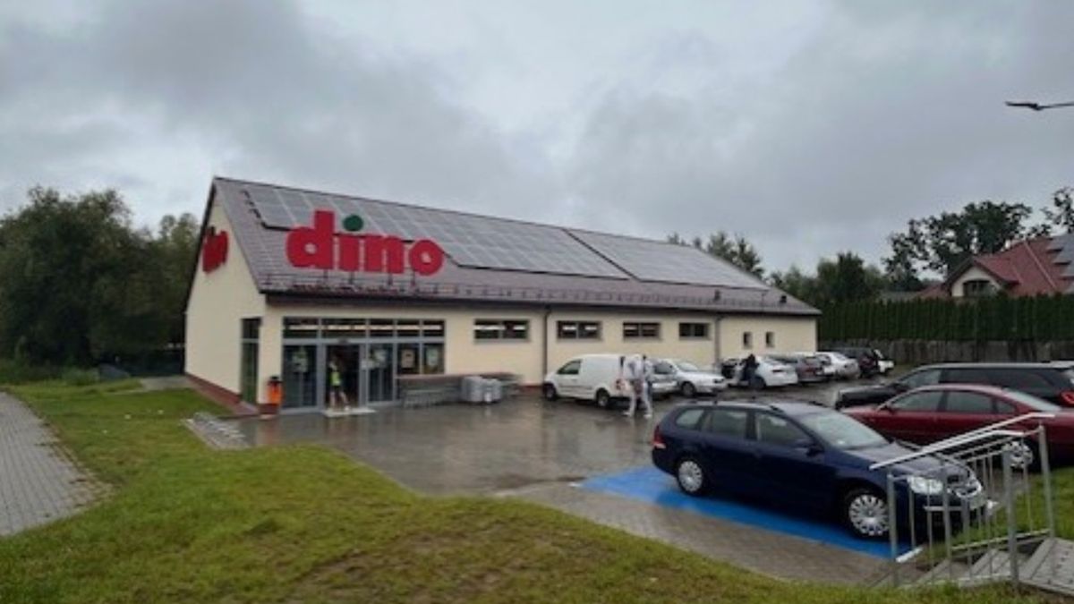 Pierwsze Dino w Olsztynie. Oto co mówią mieszkańcy