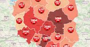 Koronawirus w Polsce. Już blisko 1500 ofiar. Dobowy rekord zakażeń w USA [Aktualna mapa]