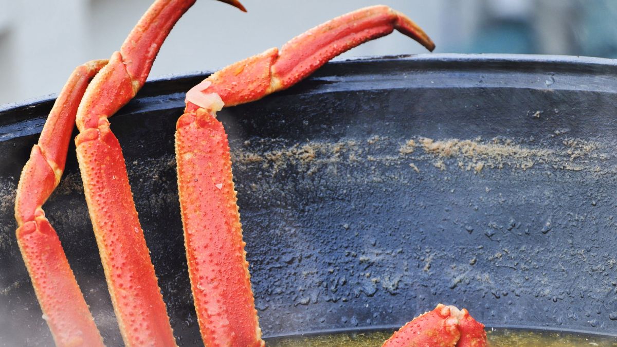 Kraby gotuje się żywcem