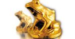 Plus Camerimage: Składy jury oraz filmy Kino Świat na festiwalu