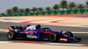 Toro Rosso zyskało na decyzji McLarena. "Popełnili ogromny błąd rozstając się z Hondą"