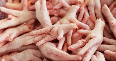 Jedz kurze łapki regularnie. Twoja skóra będzie piękna, jak po wyjściu od kosmetyczki