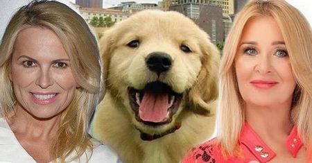 Dziś światowy dzień zwierząt! Z tej okazji gwiazdy pomagają schronisku! Majka Jeżowska, Anna Jurksztowicz...Kto jeszcze?