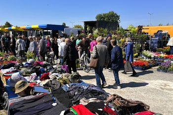 Duży ruch na targu w Tarnobrzegu w środę 21 maja. Rośliny, warzywa, kwiaty i truskawki mają wzięcie.