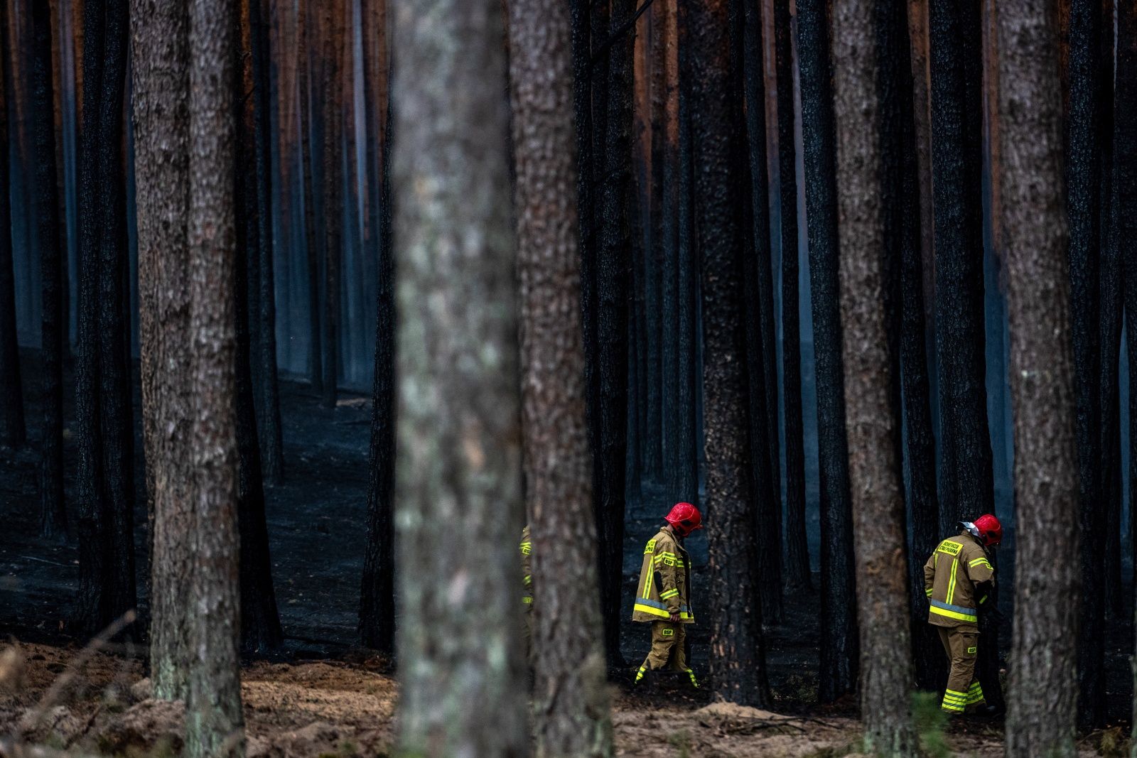 Pożar w Puszczy Solskiej: Strażacy w akcji, tlenią się torfowiska