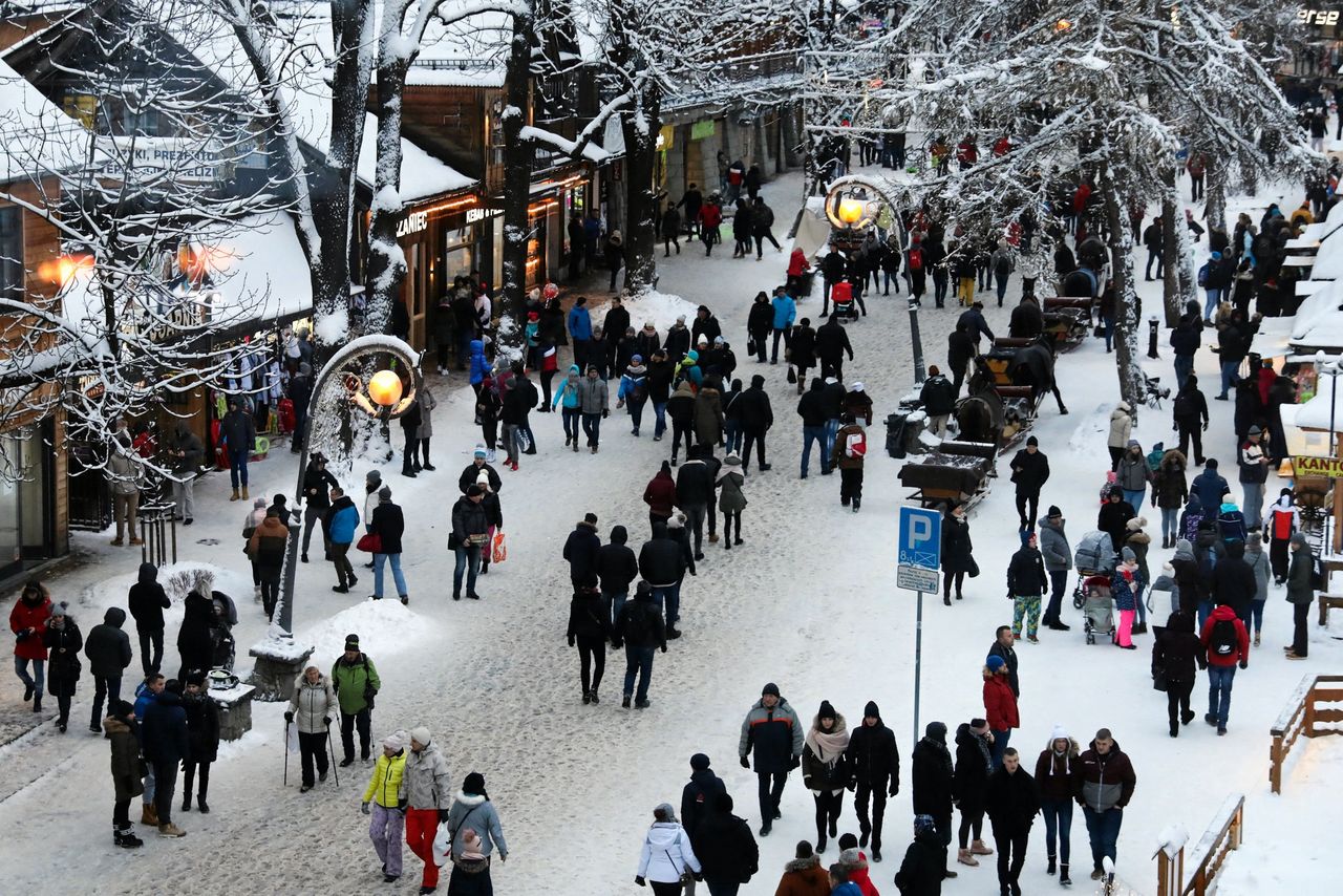 Tak kuszą Polaków przed świętami. Zarobki ponad 10 tys. zł na rękę