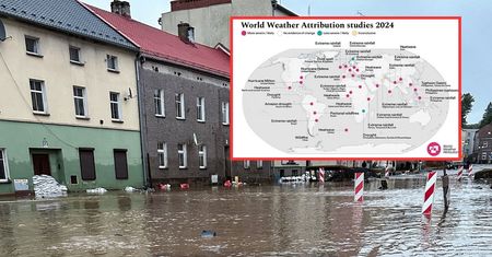 Piszą o katastrofie. Wymieniają Polskę. Wstrząsające dane