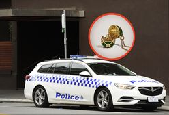 Nietypowa kradzież. Mężczyzna u jubilera połknął naszyjnik Fabergé