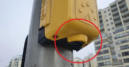 Tajemniczy guzik dla pieszych. Mało kto wie, do czego służy