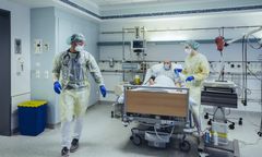 WHO ostrzega: zakaźna choroba rozprzestrzeni się w Europie, USA i Afryce