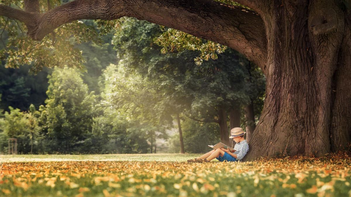 Sylwoterapia to jedna z technik medycyny alternatywnej.