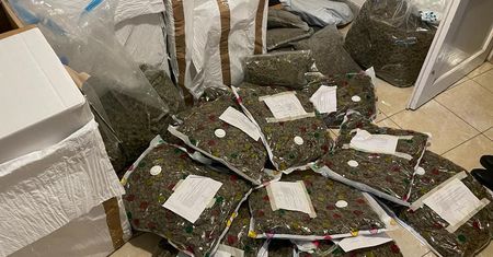 Pod przykrywką sprzedaży legalnych środków handlował narkotykami