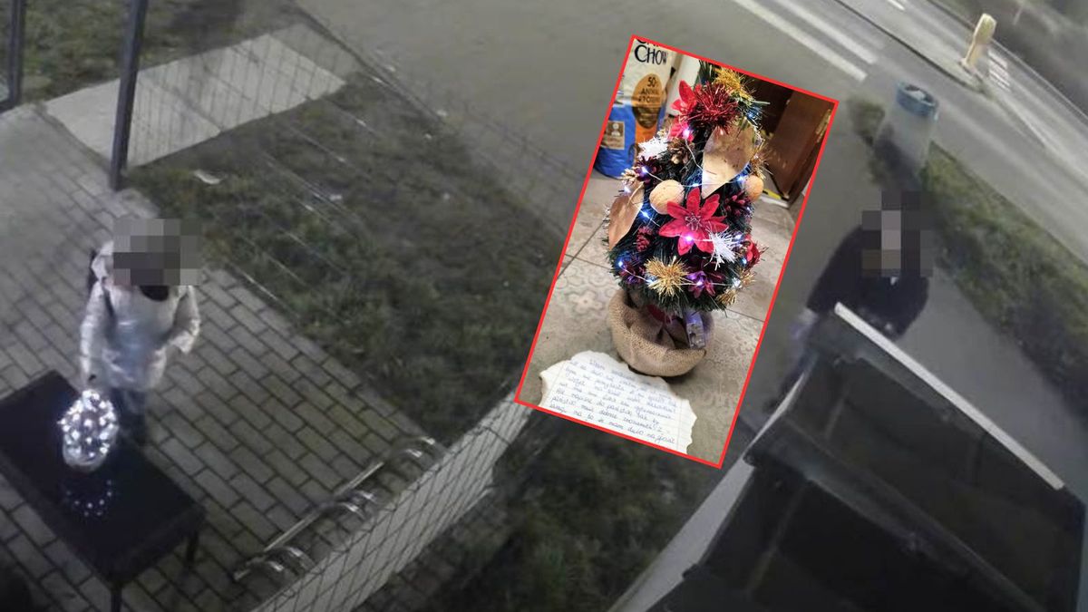 Kradzież choinki w Sosnowcu