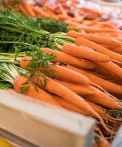 Wydaliśmy 147 mln zł na marchew z importu. Padł rekord