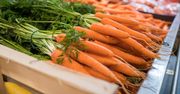Wydaliśmy 147 mln zł na marchew z importu. Padł rekord