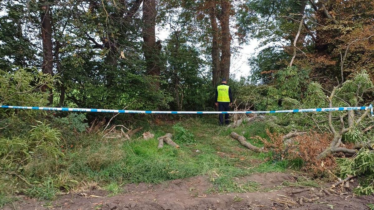 Tragedia podczas wycinki drzewa. Nie żyje 34-letni mężczyzna