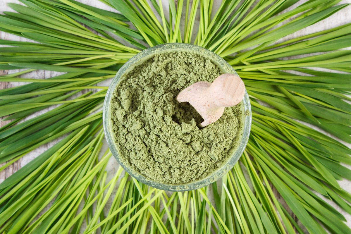 Młody jęczmień jest zaliczany do grona "superfoods"