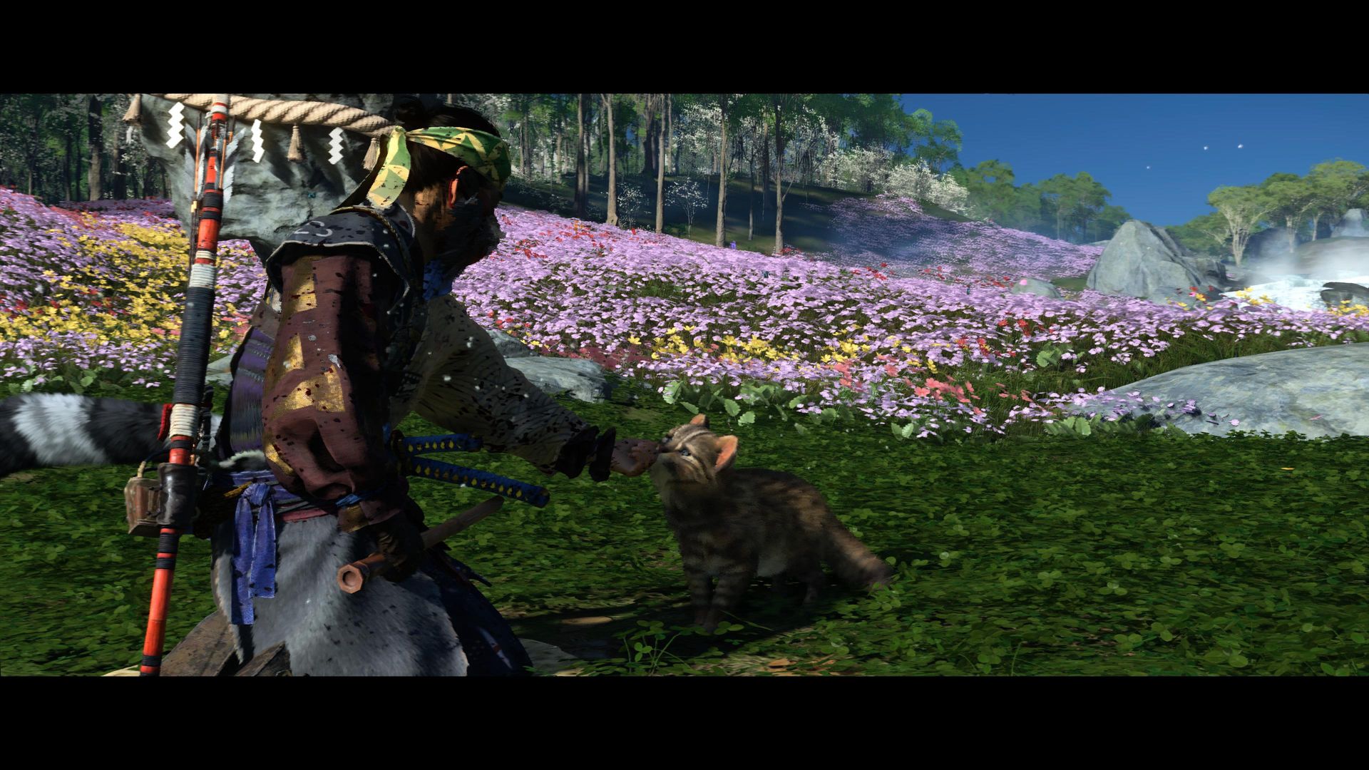 Ghost of Tsushima Director's Cut