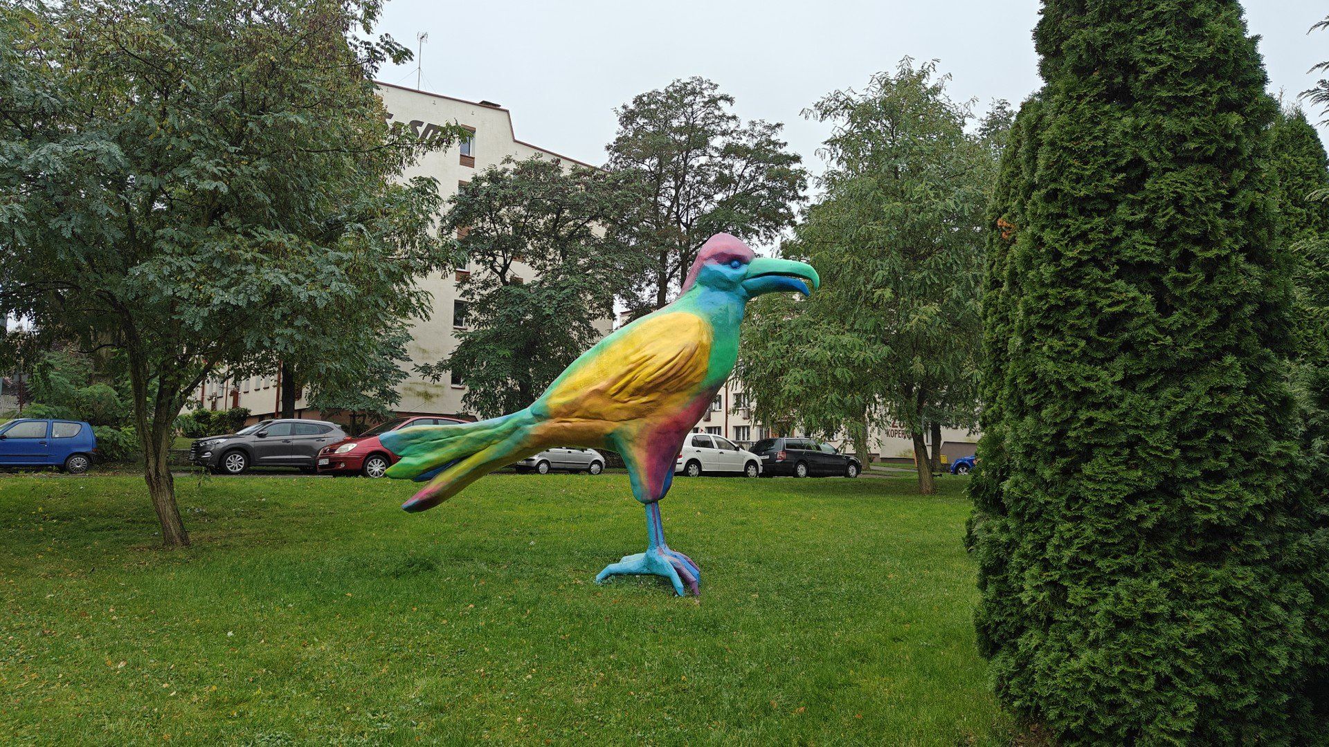 Szczecinecki kruk po metamorfozie