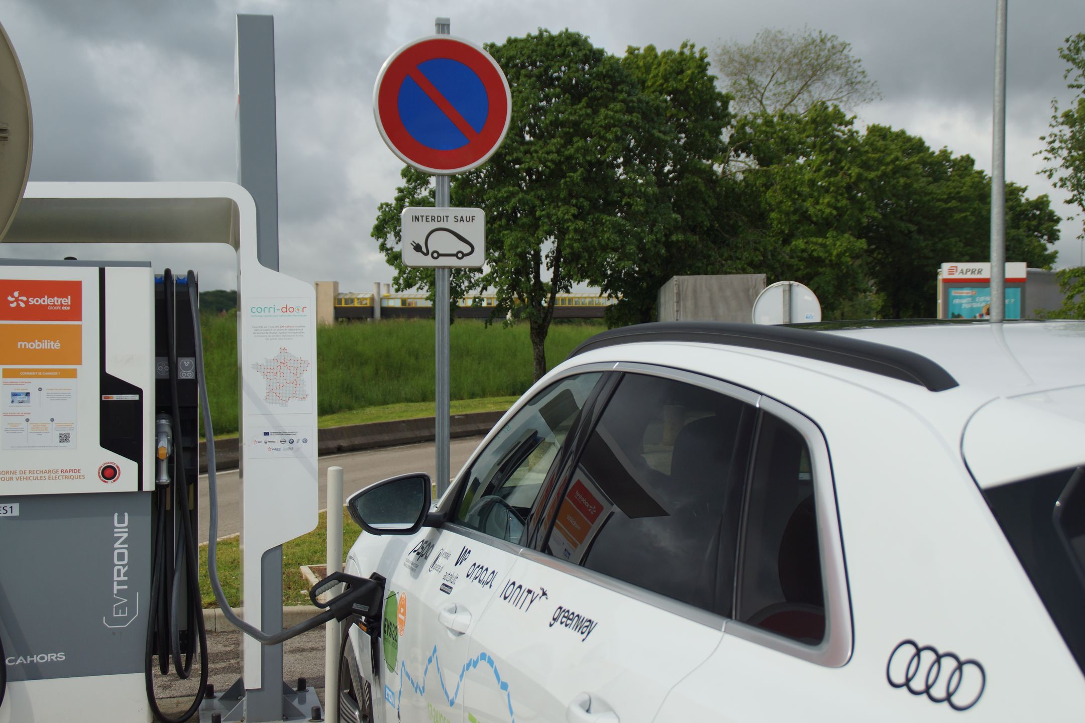 Dlaczego elektryk wygląda jak żółw?