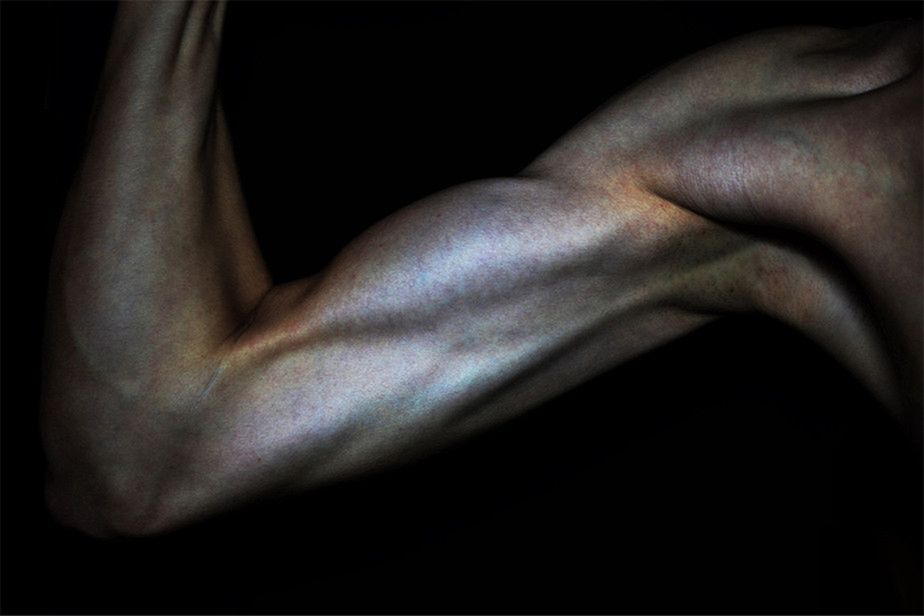Nikon Photo Contest 2014-2015 - Polacy wśród wyróżnionych 9