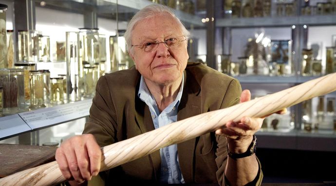David Attenborough i cuda natury
