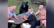 Piknik z niedźwiedziem. Drapieżnik dołączył do rodzinnej imprezy