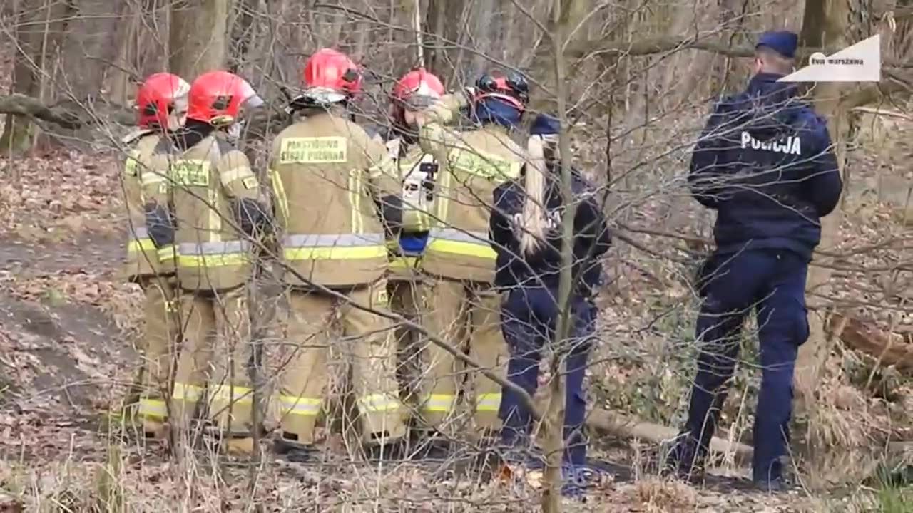 Przechodnie zauważyli ciało w stawie niedaleko szpitala. Wicedyrektor lecznicy: nie był to nasz pacjent