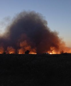 Rosyjski obwód samarski. Cztery ofiary ukraińskich dronów
