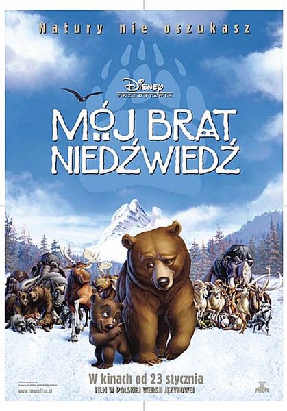 Mój brat niedźwiedź