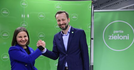 Nowy podatek i przykręcone kaloryfery. Pomysł Zielonych na kryzys