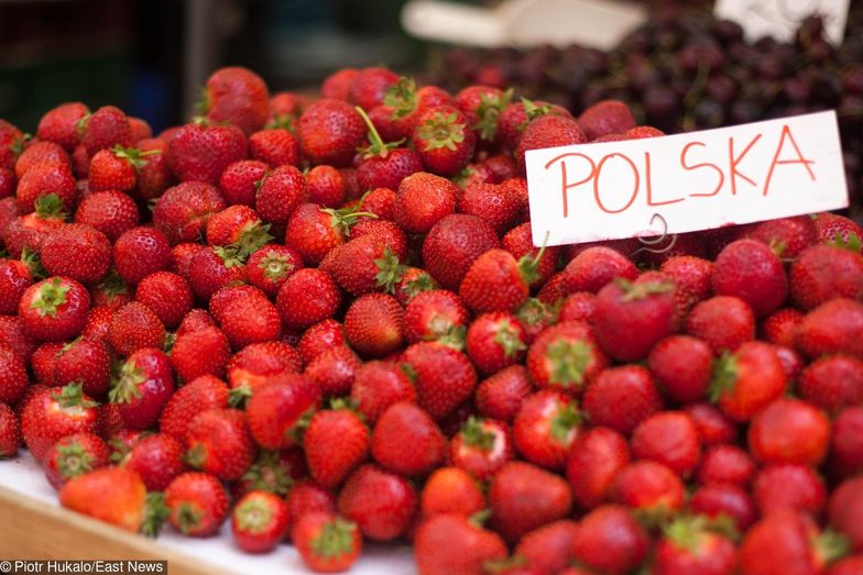 Polskie truskawki są bezpieczne, zdrowe i aromatyczne. Badania rozwiewają wszelkie wątpliwości
